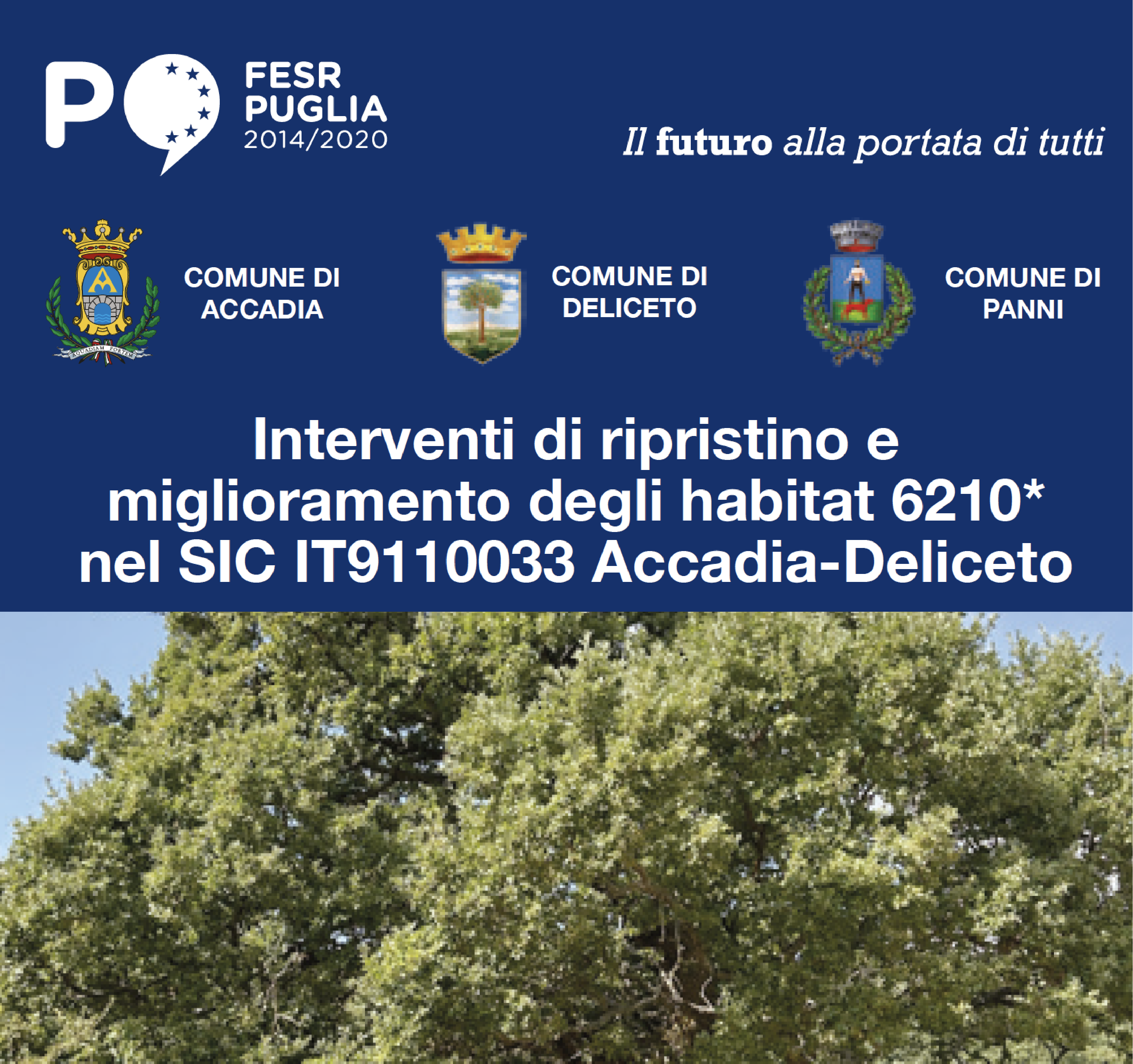 Schermata 2025-04-24 alle 10.18.16
